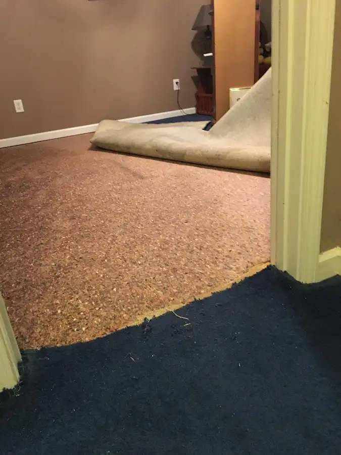 Carpet pad removal revealing water damage during Drying & Dehumidification in Monett