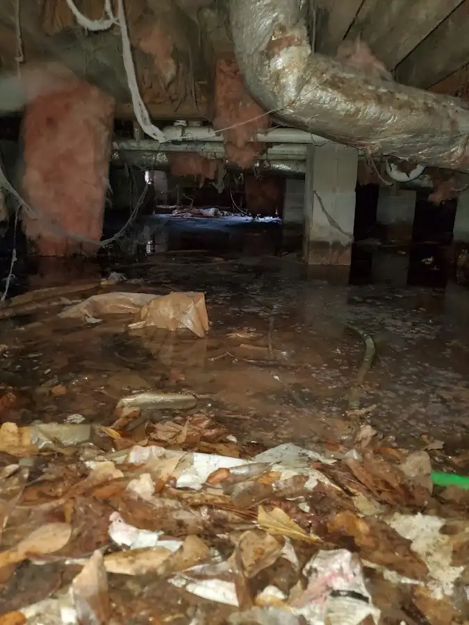 Crawl space flood assessment for Commercial Water Damage Restoration in Monett