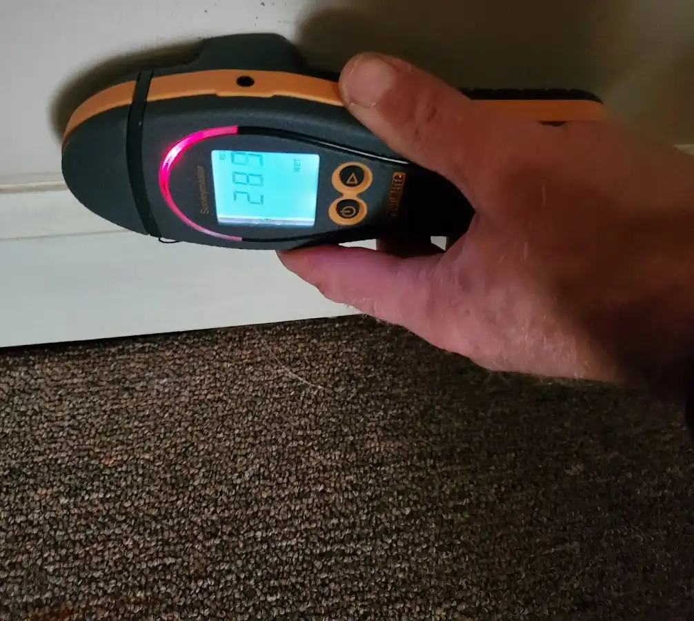 Moisture detection at baseboard during Sewage Cleanup & Sanitation in Monett